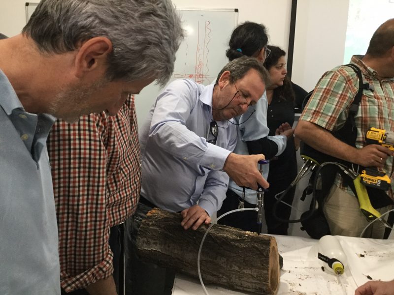 Éxito en el desarrollo y seguimiento del Taller de Endoterapia Vegetal  organizado por AESAM